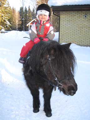 Meppis ja Ronja talvella 2010